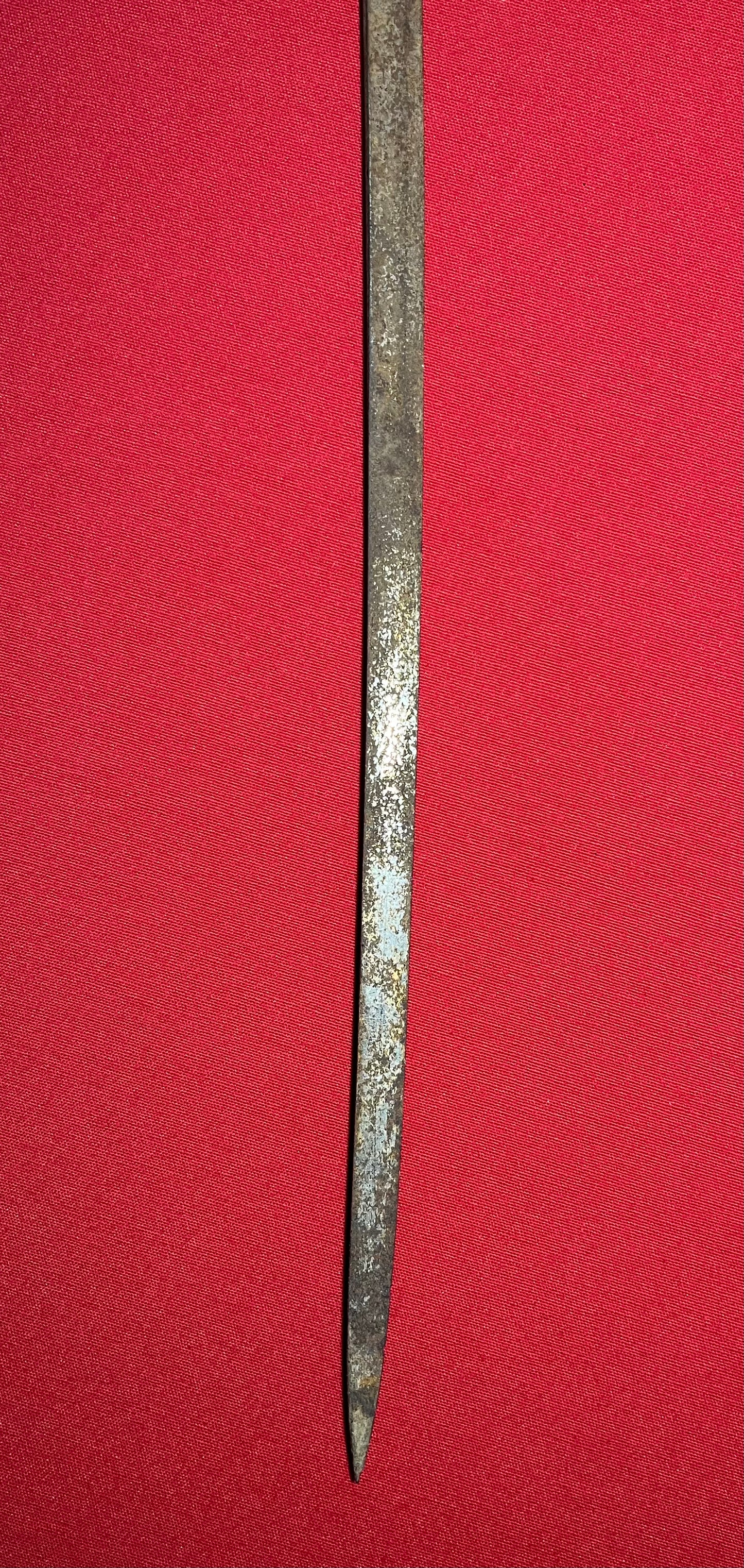 WW2 German Officer’s              Lion Head Sword by Ges Gesch 
(Relic) Battlefield Pickup