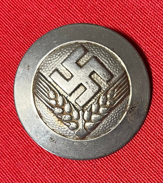 Authentic WW2 German Female Youth RADwJ RANK BROOCH